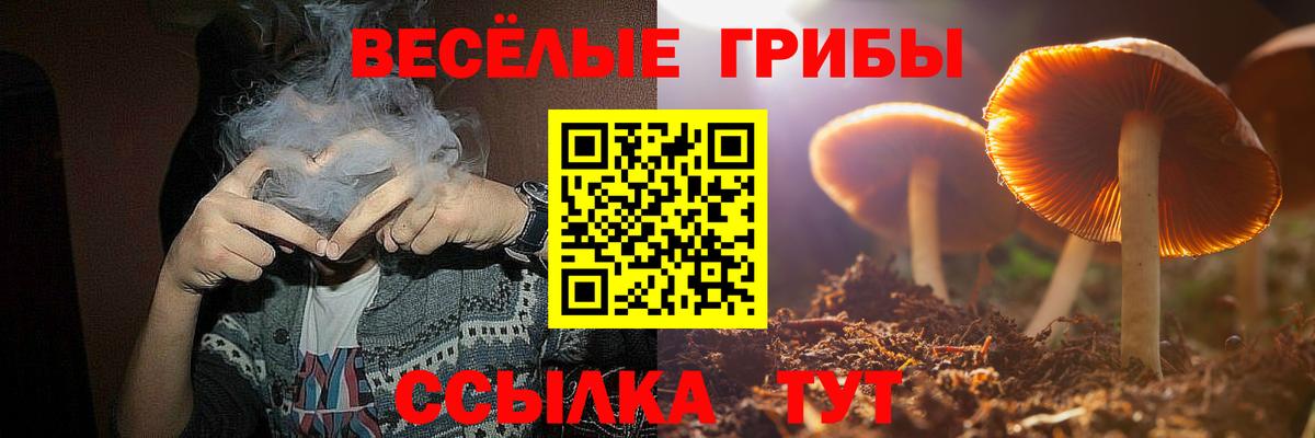 Галлюциногенные грибы Psilocybe Кизляр